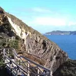 Oli Con Encanto Viveiro