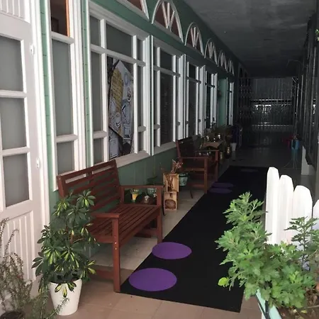 Oli Con Encanto Viveiro