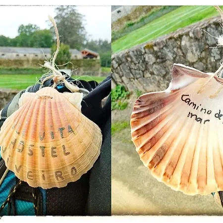 Oli Con Encanto Viveiro