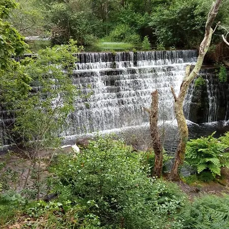 Oli Con Encanto אכסניה ויביירו