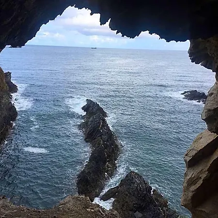 Oli Con Encanto Viveiro