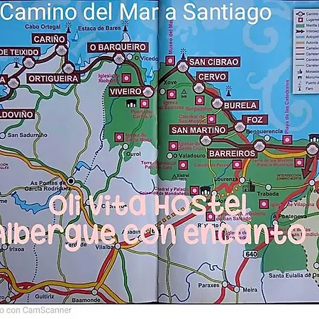 Oli Con Encanto Viveiro