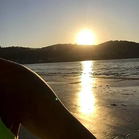 Oli Con Encanto * Viveiro