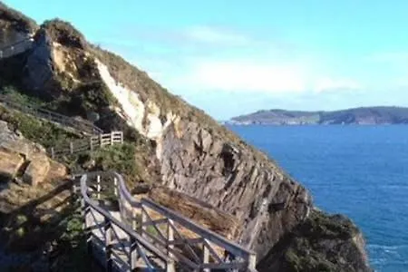 Oli Con Encanto Viveiro